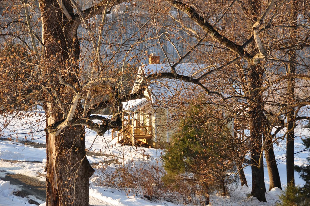 Property thumbnail image